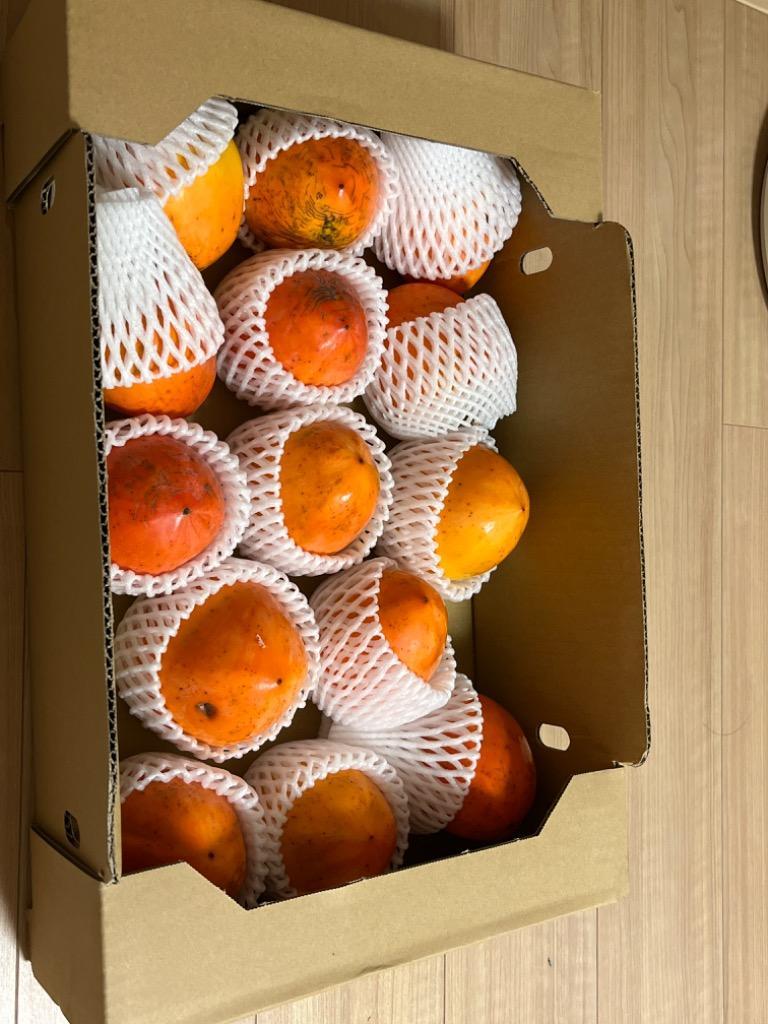 柿 5kg 甲州百目柿 山梨産 ご家庭用 送料無料 食品