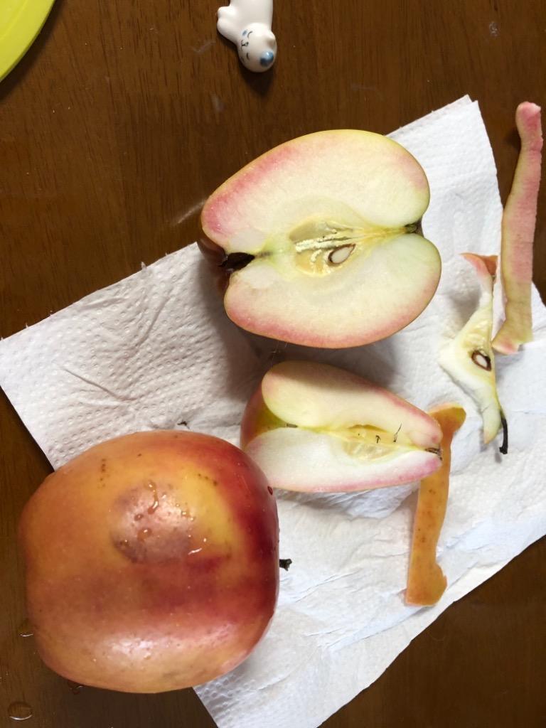 りんご 青森産 栄紅 3kg えいこう 赤肉りんご 送料無料 食品