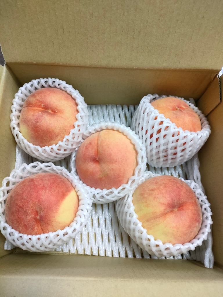 もも 長野産 信州長野の桃 ご家庭用 1.5kg (4~9玉) 信州 長野 桃
