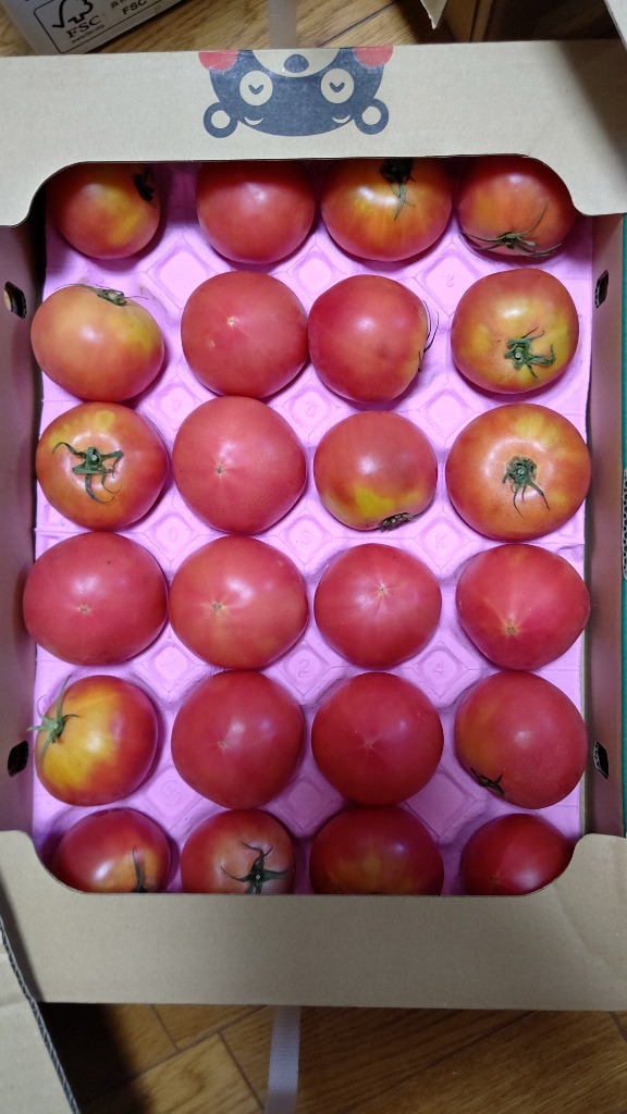 熊本産トマト16Kg㎏ 熊本県産】新鮮 フレッシュ トマト 約16kg 家庭用 訳アリ品 選果