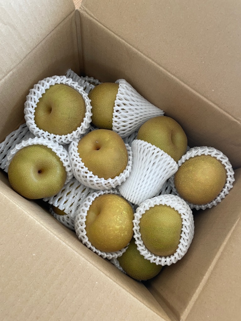 梨 5kg ご家庭用 幸水梨 長野産 送料無料 食品 : 食みらい・国華園