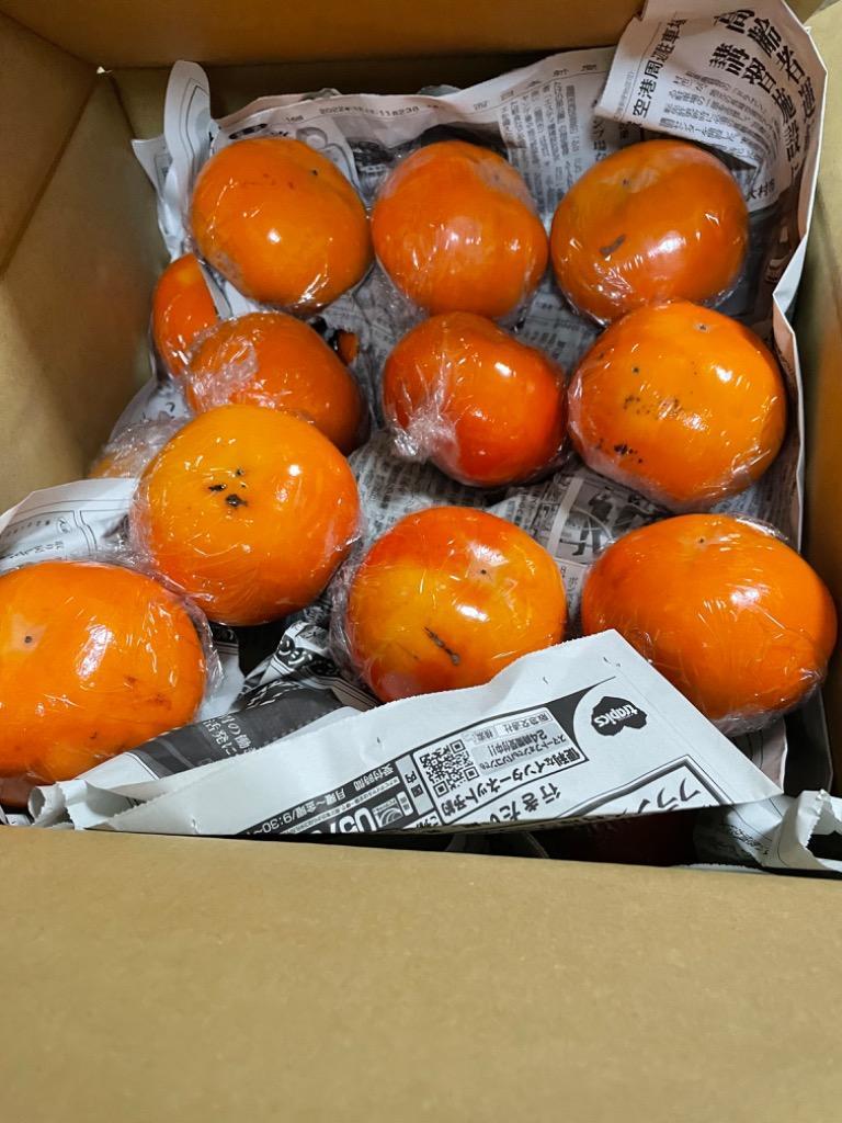 柿 7.5kg 富有柿 和歌山産 ご家庭用 送料無料 食品 : s-fs3180 : 食