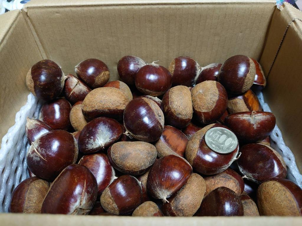 栗 2kg 利平栗 熊本産 冷蔵便 送料無料 食品 : 食みらい・国華園