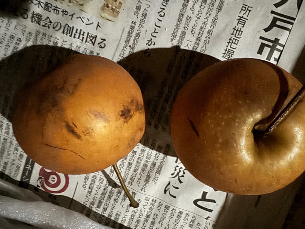 9件目のレビュー画像 | 2