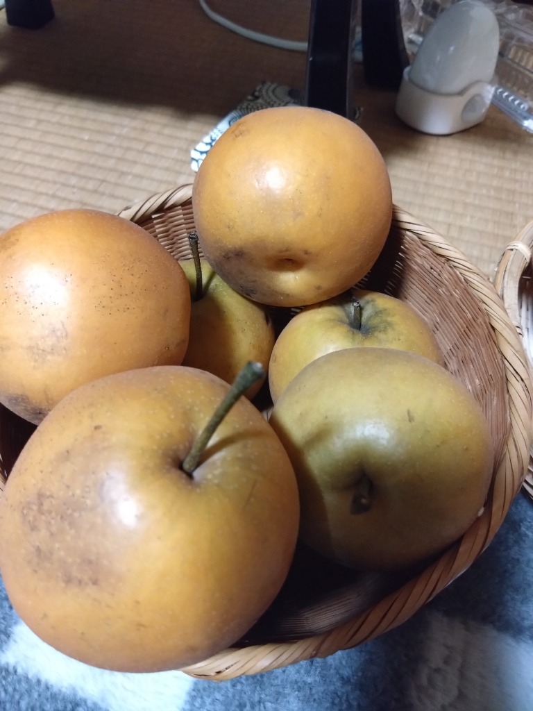 1件目のレビュー画像 | 2