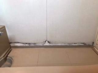 4件目のレビュー画像 | 2