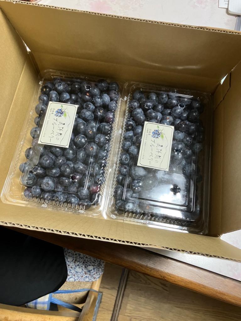 安心安全。ブルーベリー3キログラム、朝摘み午後発送 ブルーベリー 1kg（500g×2パック）安心 安全 無農薬 朝摘み 午後