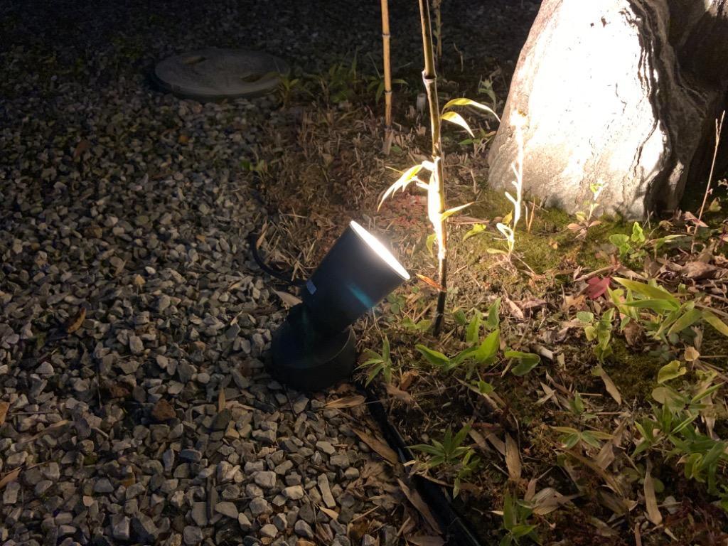 チューチューはどのように診断されますか?