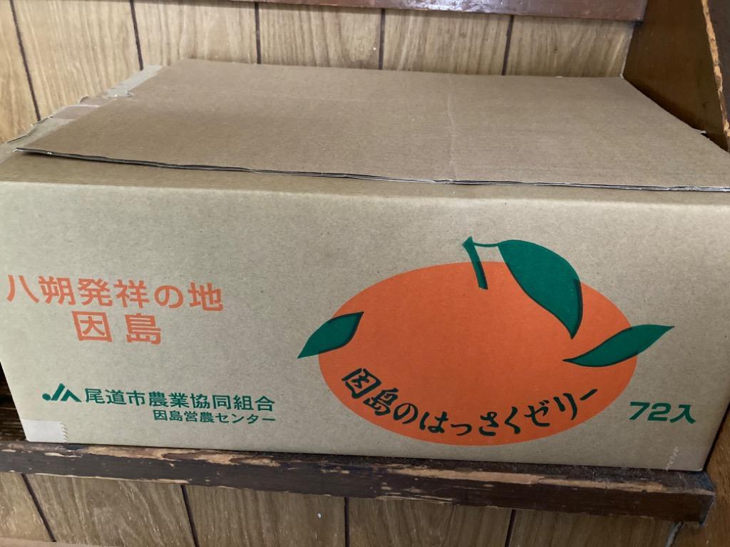 因島 はっさくゼリー 72個セット 八朔果肉入り 果物ゼリー