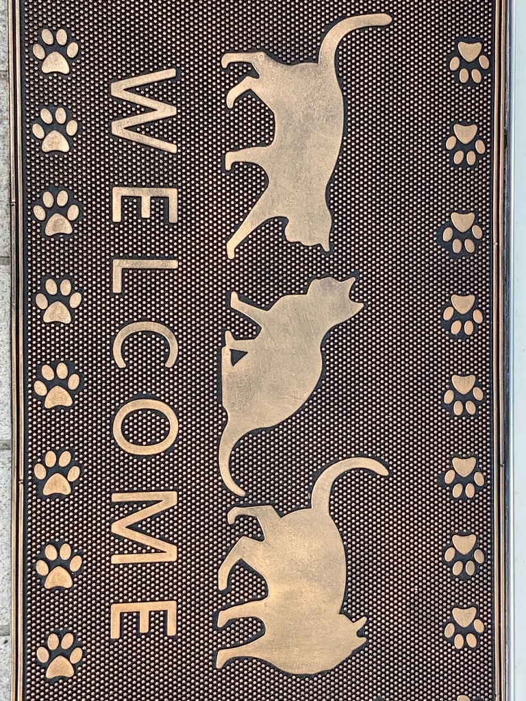 全体のレビュー画像 | 0-0