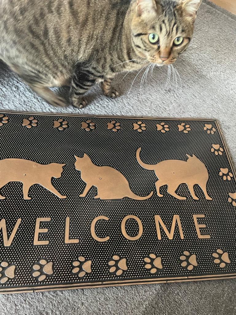 全体のレビュー画像 | 2-0