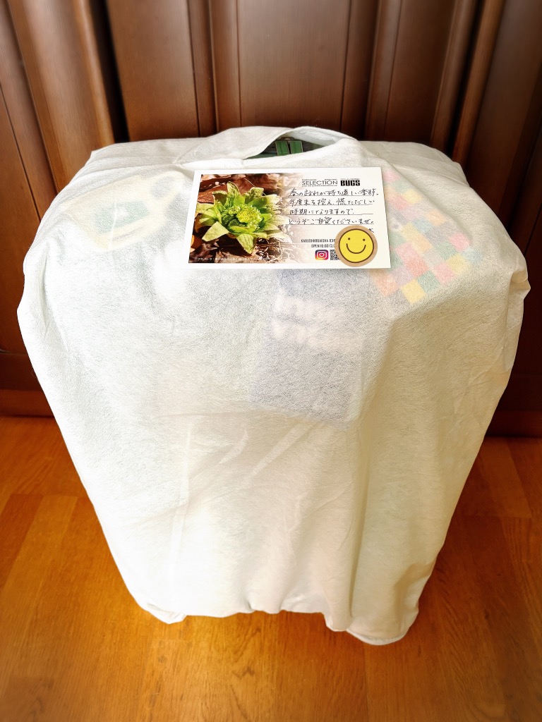 全体のレビュー画像 | 0-0