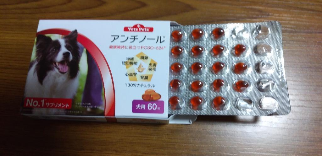 アンチノール 犬用サプリメント 60粒 :S-AN0011303002:セラフィー ...