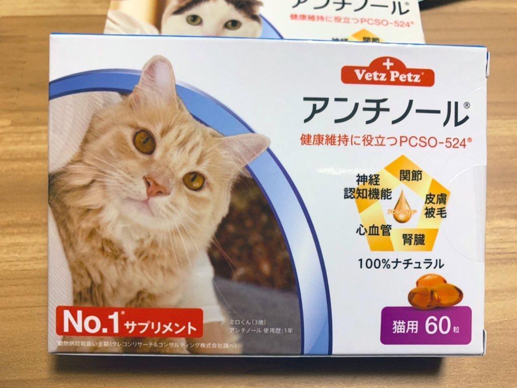 アンチノール 猫 猫用 60粒 ネコ BB ねこ 送料無料 猫用サプリメント 60