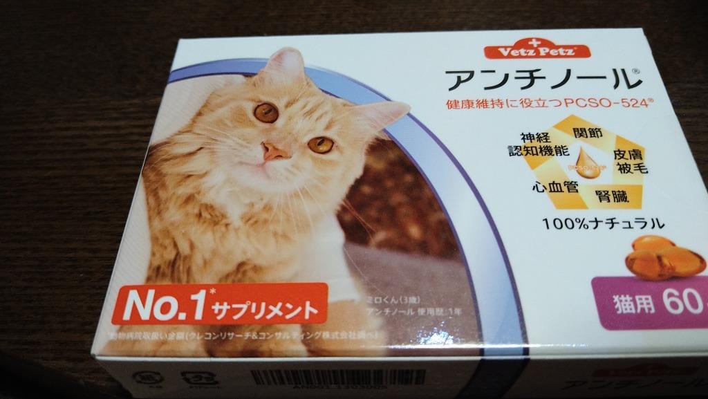 アンチノール 猫用 60粒 1箱 猫用品 | landyhome.co.th