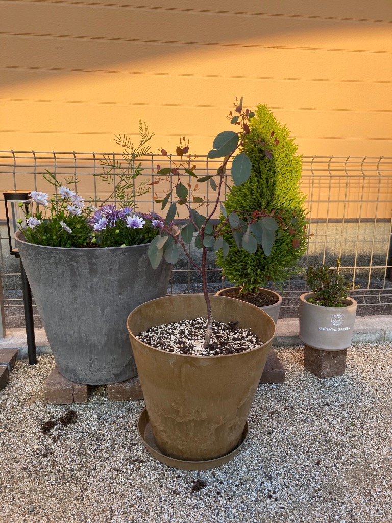 全体のレビュー画像 | 7-3