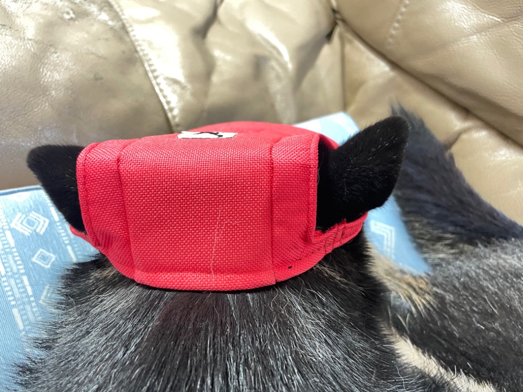 犬 帽子 猫 キャップ ペット 服 犬の帽子 :h0159:セブンブリッジ 通販 
