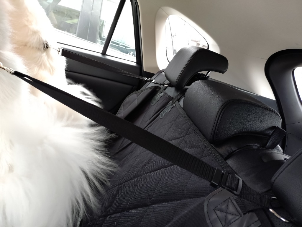 全体のレビュー画像 | 0-0