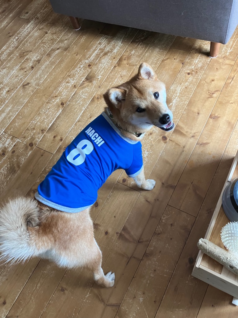 1件目のレビュー画像 | 0