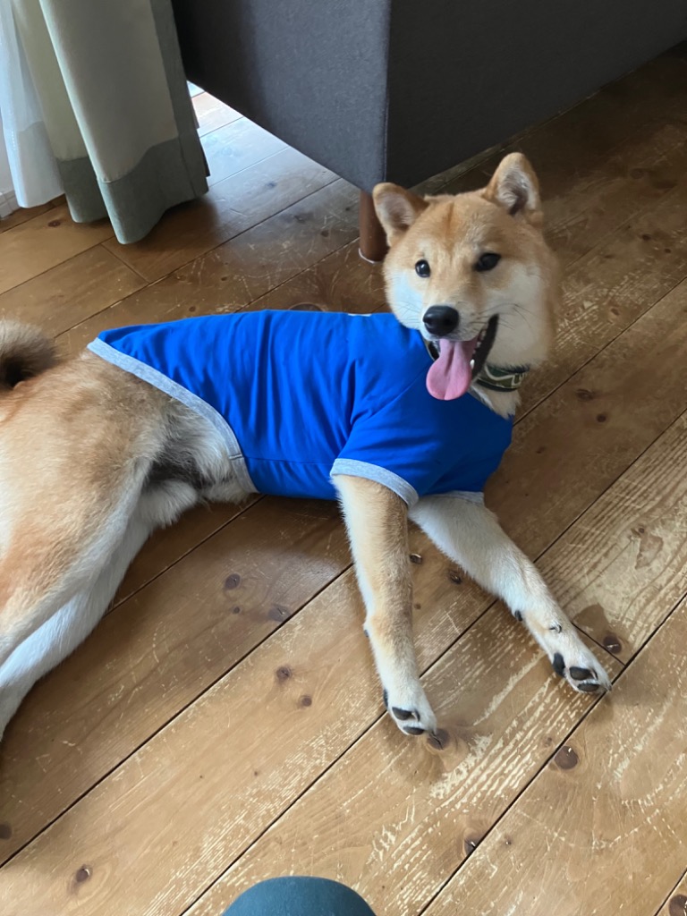 1件目のレビュー画像 | 1