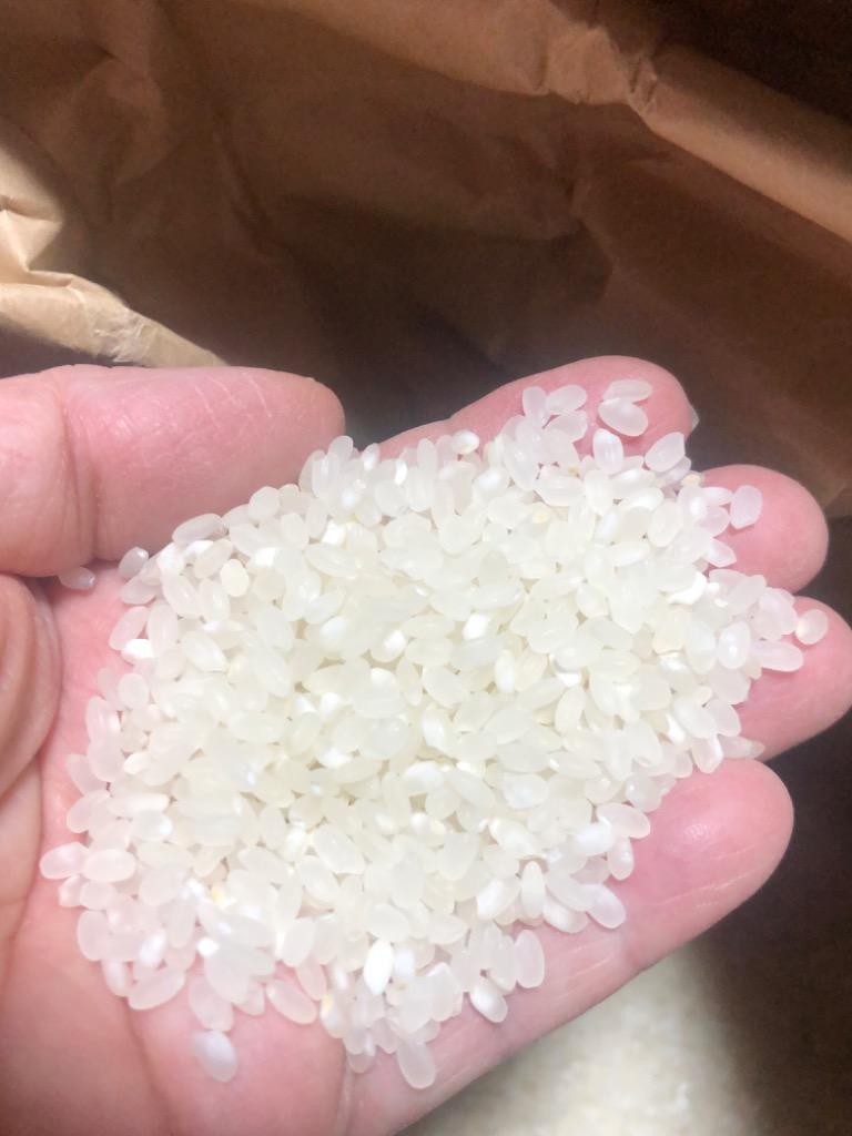 SAVE 食の極 北海道産 白米 ななつぼし プレミアム一等米「極」 20kg