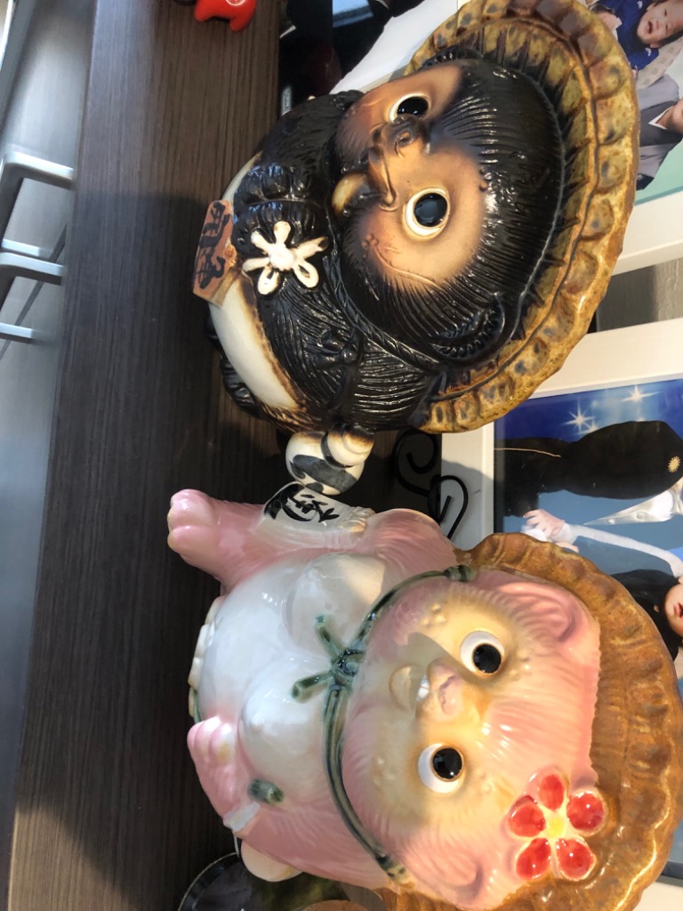 斉藤鳳葉、狸、画集より、希少、新品額付 絶版 希少本 斉藤鳳葉 齋藤鳳葉 画集 / saito houyo / 日本画 狸