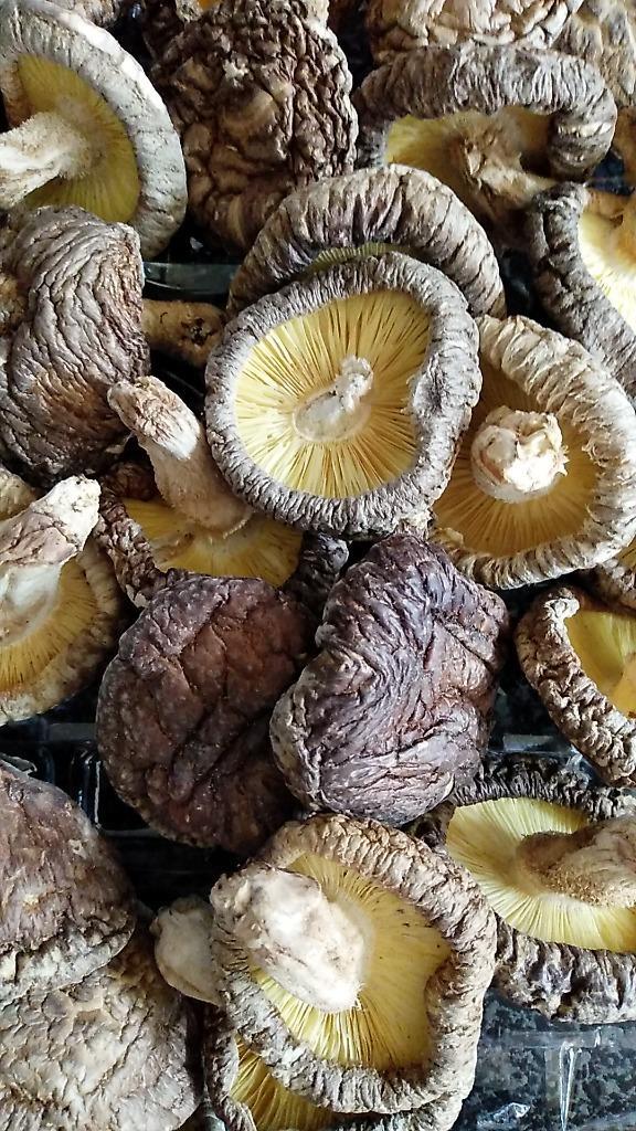 大分産 香信椎茸 70g – 成城石井.com