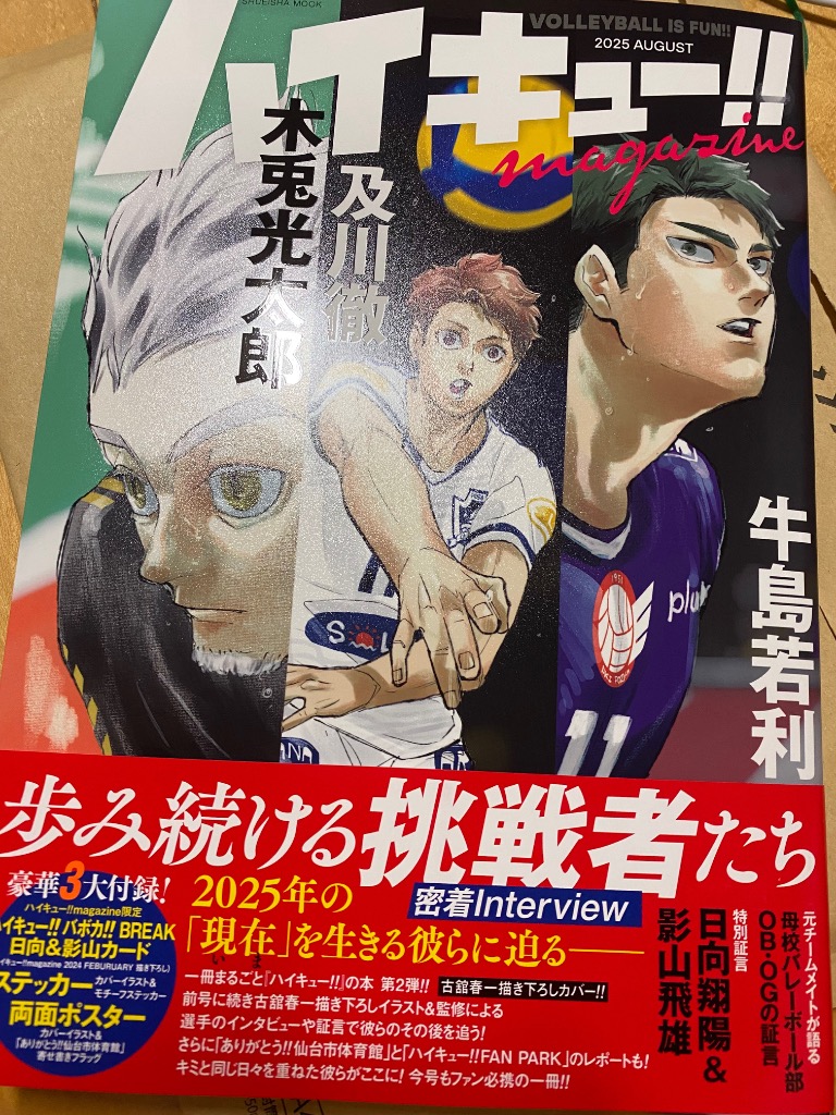 ハイキュー　　非売品ロングポスター 2025年最新】タイトル：ハイキュー!! ポスターの人気アイテム
