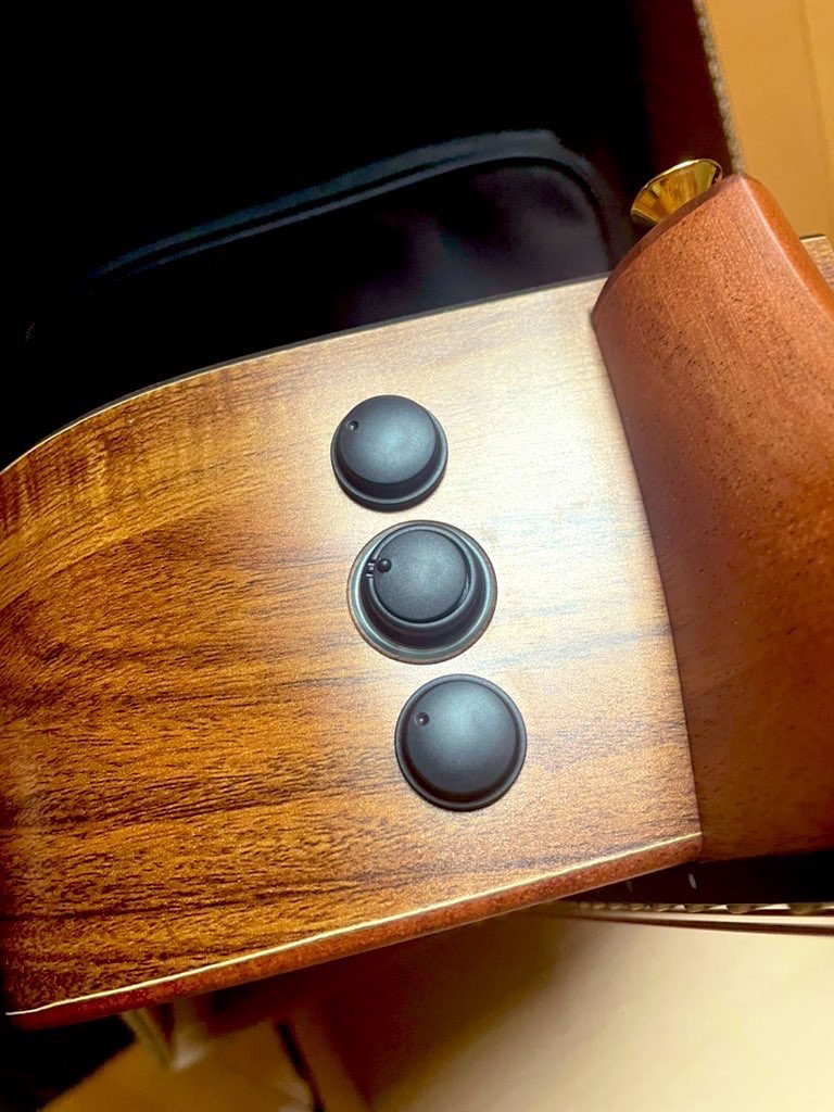 ジェームス James J-300CII エレアコ 生音エフェクト トップ単板 簡単