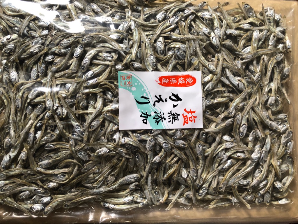 全体のレビュー画像 | 1-0