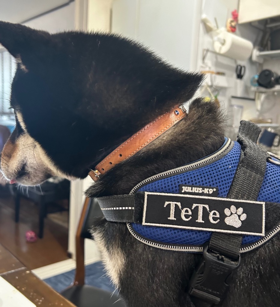 ネームタグ【愛犬ハーネス用 デニム生地】 | 原山ネーム刺繍店