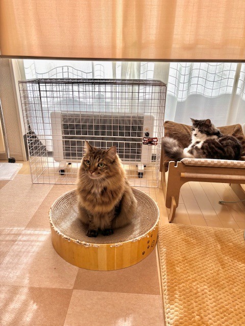 夢暖望 2500円クーポン配布中 遠赤外線パネルヒーター 夢暖望900型