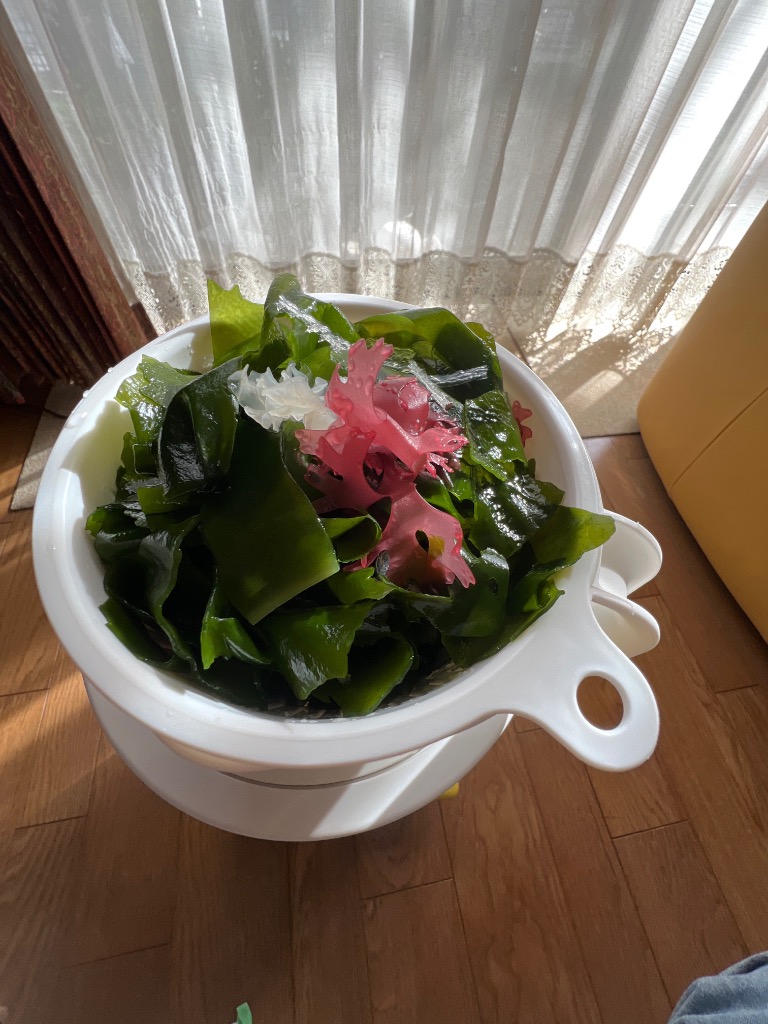 レビュー画像