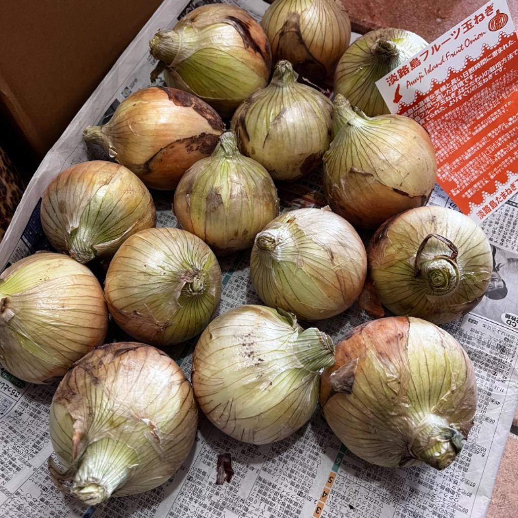 新玉ねぎ 送料無料 産地直送 淡路島産 フルーツ新玉ねぎ 4kg (M