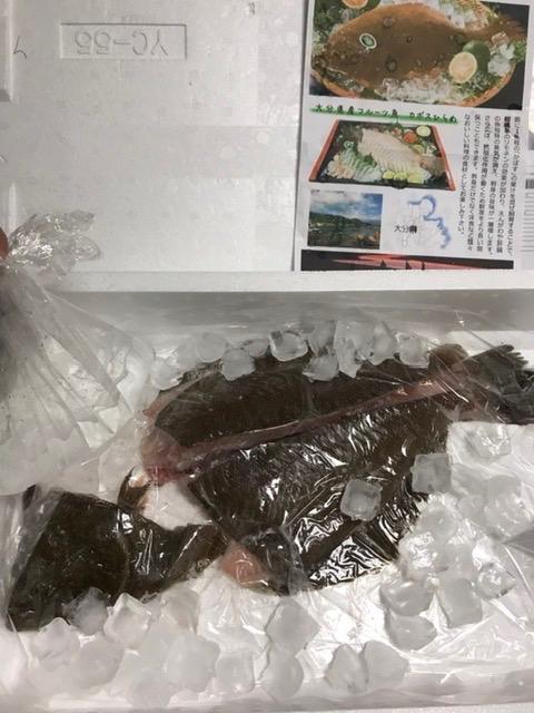 鮮魚 かぼすヒラメ 約1kg (活け〆 5枚おろし 丸) フルーツ魚 カボス ひらめ 平目 市場 直送  :kabohirame1kg:大分県の特産品専門店ふるさと - 通販 - Yahoo!ショッピング