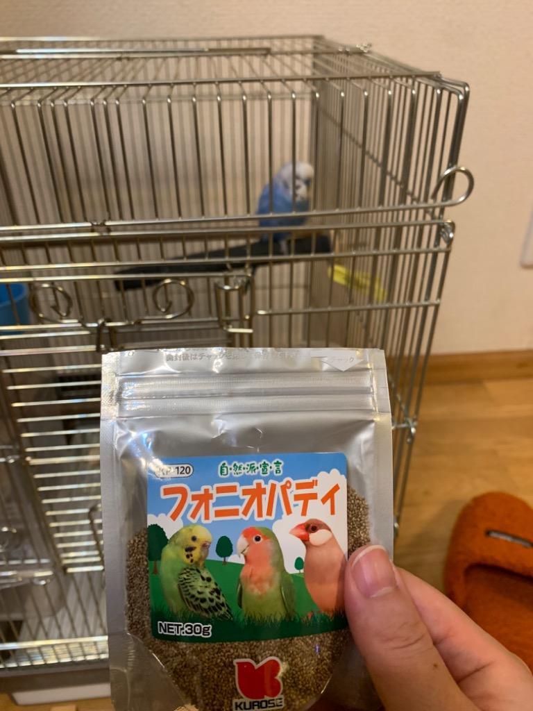 1件目のレビュー画像 | 0
