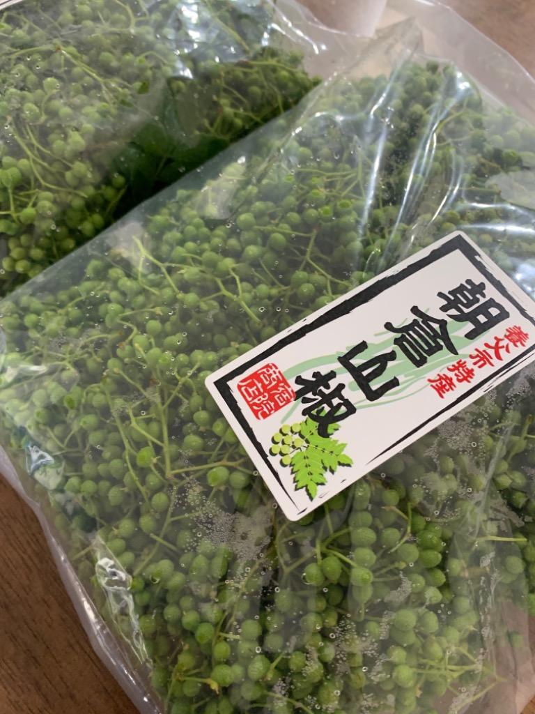 養父市特産 朝倉山椒 実山椒 約1kg 送料無料 山椒 山椒の実 5月