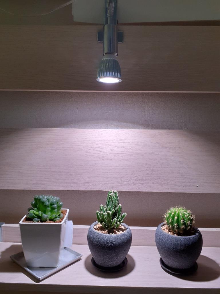 植物育成LED E17 PLANTLIGHT SUN-5W-W】 - 最安値・価格比較