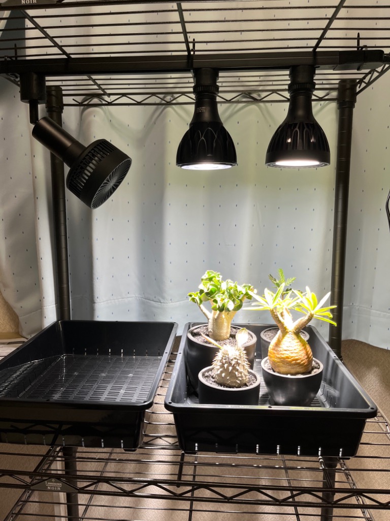 BARREL公式 小型送風機 植物育成 Aechmea エクメア 送風機 風量