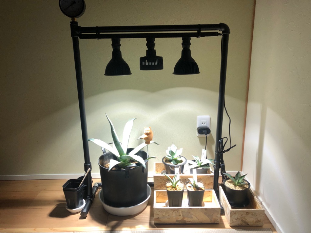 【2個セット】BARREL 小型送風機 植物育成 AECHMEA エクメア BARREL, barrel, バレル, Aechmea, aechmea, エクメア