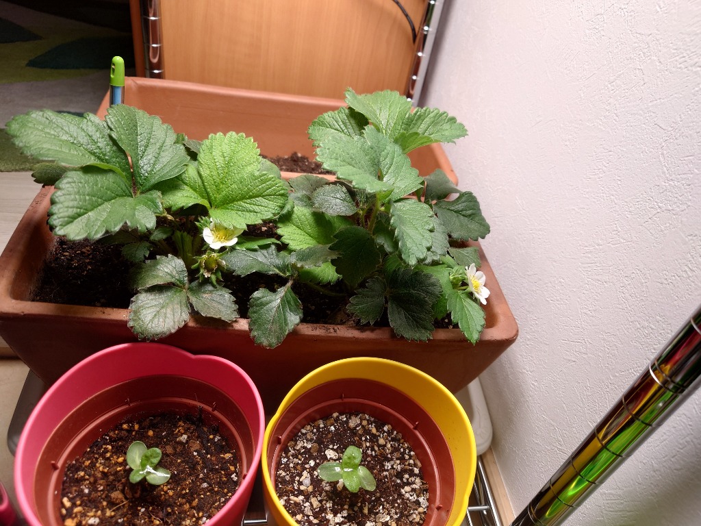 BARREL公式 植物育成ライト led パネルライト【ROKI‐350 100W