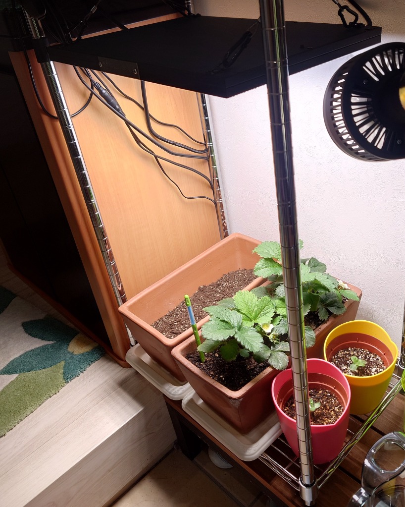 BARREL公式 植物育成ライト led パネルライト【ROKI‐350 100W