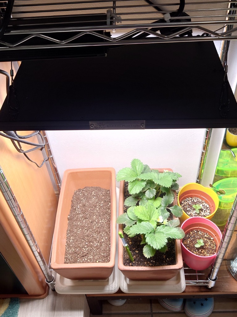 BARREL公式 植物育成ライト led パネルライト【ROKI‐350 100W