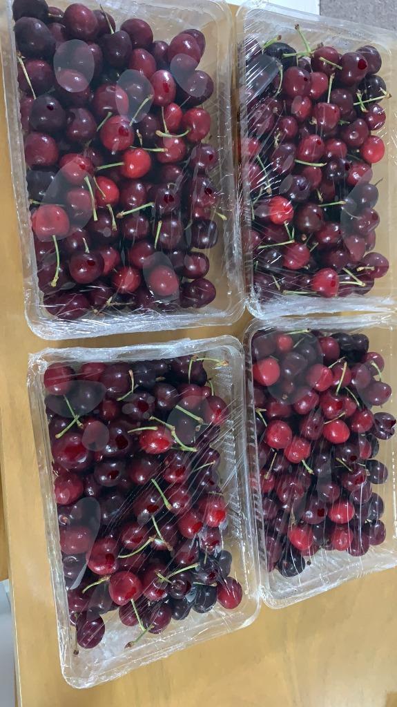 送料無料 アメリカンチェリー アメリカ産 約4kg サイズ 11.5