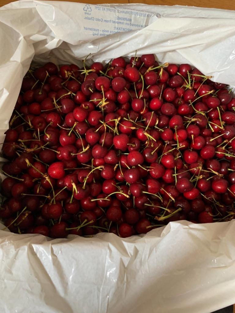 送料無料 アメリカンチェリー アメリカ産 約4kg サイズ 11.5