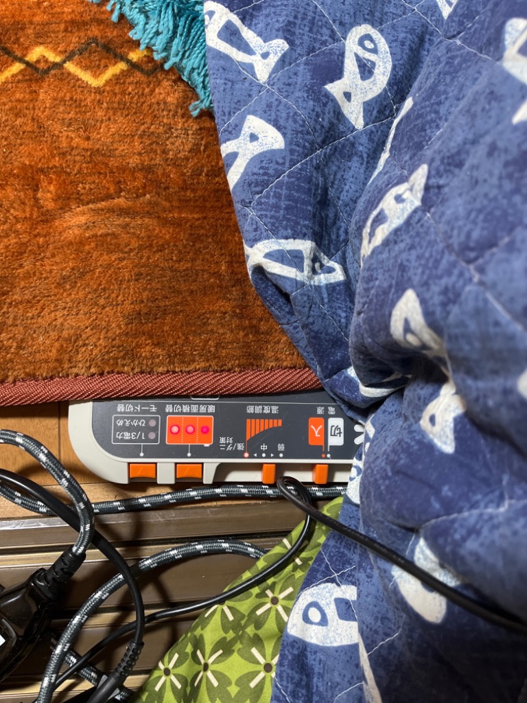 ゼンケン ホットカーペット 3畳タイプ本体のみ ZCB-30P 電磁波99