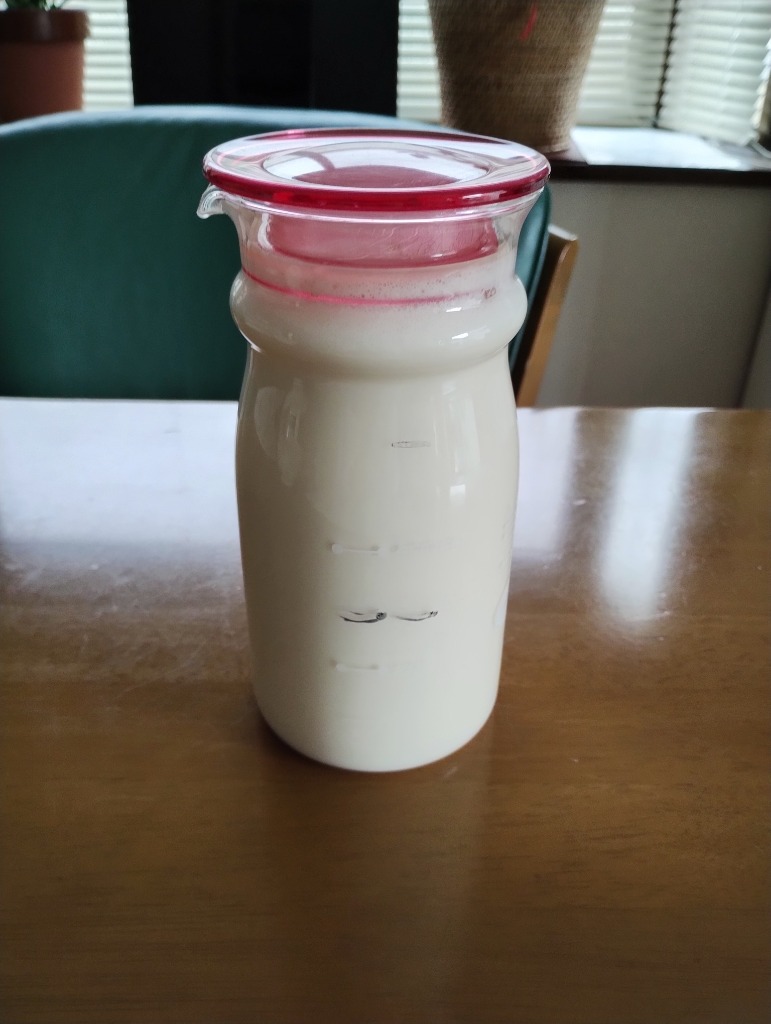 ショップジャパン ソイリッチ 単品 完全豆乳メーカー 豆乳機