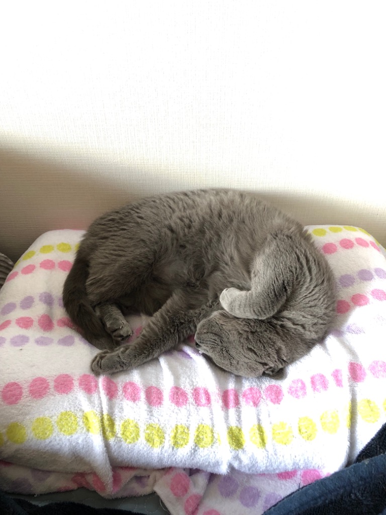 全体のレビュー画像 | 0-0