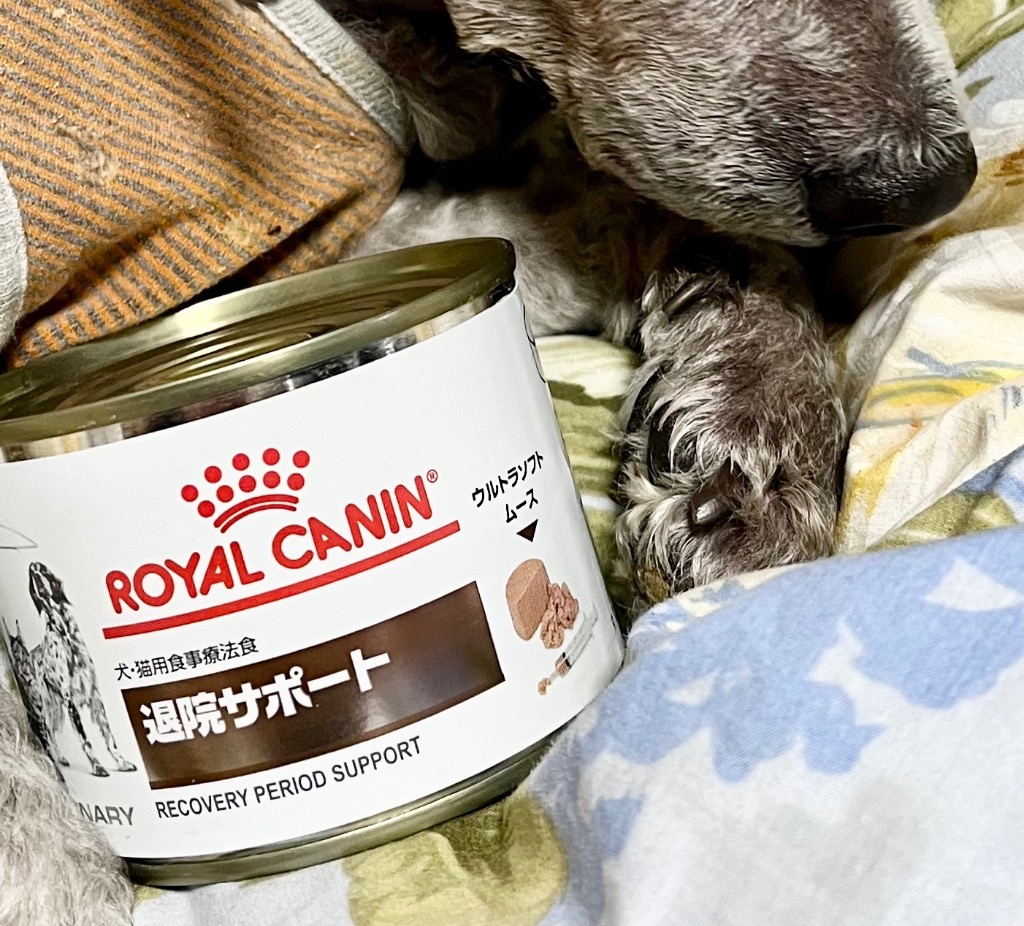 ロイヤルカナン 犬•猫用食事療法食 退院サポート ウルトラソフトムース