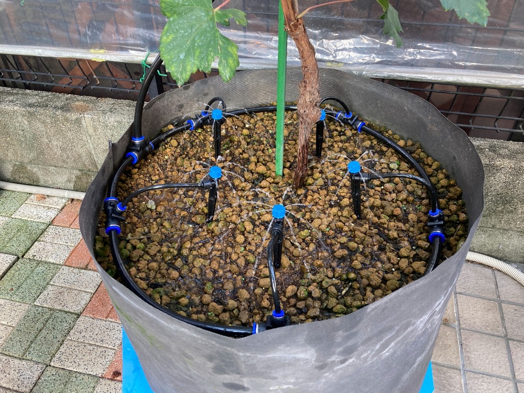 3件目のレビュー画像 | 2